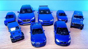 Собираю только синие машины Welly