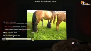 Это точно не прон