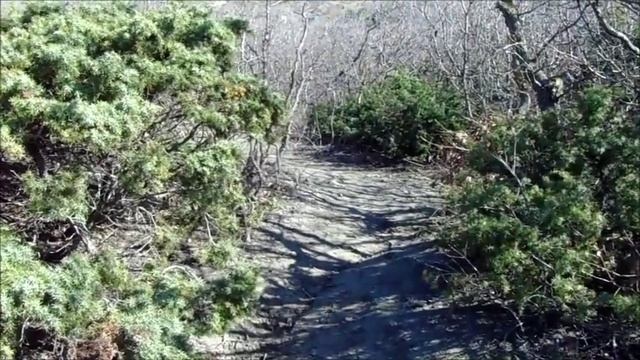 Прогулка по одному из красивейших мест в Анапе (Лысая гора Супсех Высокий берег) смотреть онлайн