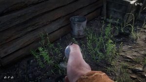 10 секретов и деталей в Red Dead Redemption 2 (#1)