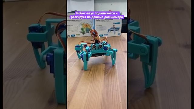 Программируемый Робот-паук Квадропод для детей / Enjoy Robotics