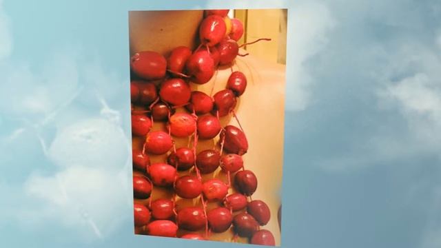 Декор участка. Одежда из растений что это? смотреть онлайн