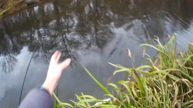 ЛОВЛЯ ГОЛАВЛЯ на ДОНКИ рыбалка поздней осенью на донки