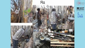 Станислав Дробышевский| Впечатления забеглого антрополога о жизни последних охотников Танзании