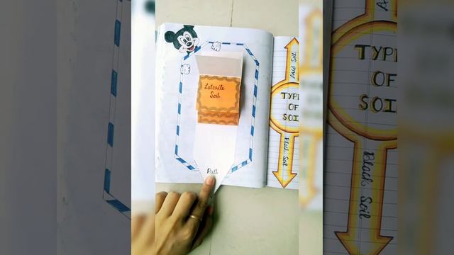 class 10 social science project , Resources n development project