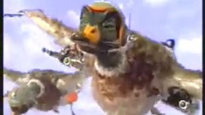 Утки атакуют