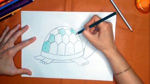 Как нарисовать черепаху карандашом. Онлайн-школа рисования "Малевашки"