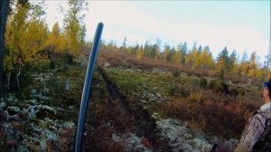 г  Ноябрьск  ЯНАО  Охота на глухаря