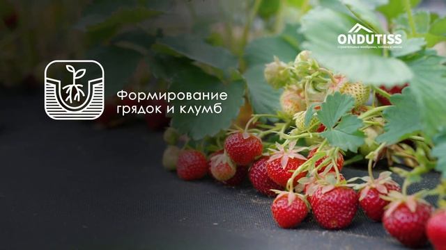 Геотекстиль ONDUTISS. Области применения.