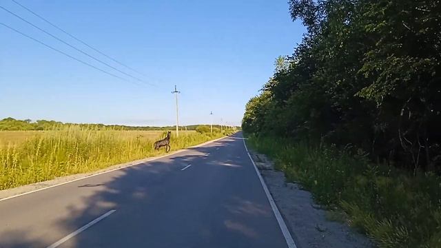 Брусчатка своими руками часть2 смотреть онлайн