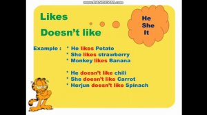 STUDY ENGLISH ABOUT LIKE, DON'T LIKE, LIKES, DOESN'T LIKE