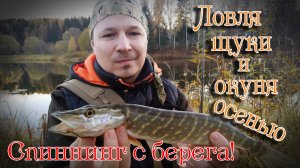 РЫБАЛКА осенью НА СПИННИНГ. Ловля щуки и окуня с берега