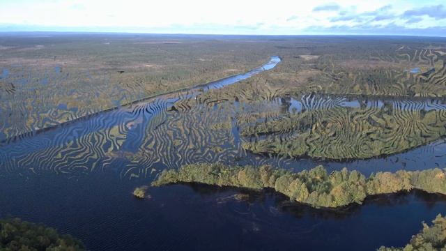 кица варзуга кузомень 2019 смотреть онлайн