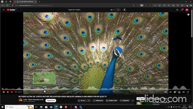 YouTube работает как часики. Хочешь также?