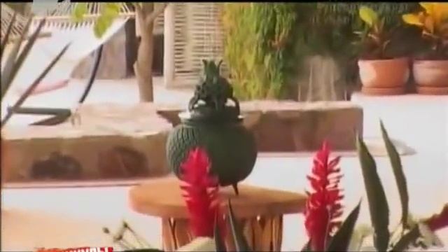 Сара Окс сыпет перцу на Оракуле. КВМ смотреть онлайн