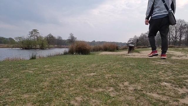 RICHMOND PARK 2021| NATIONAL NATURE RESERVE| THE MOST BEAUTIFUL PARK TO VISIT IN LONDON 2021.ep3 смотреть онлайн