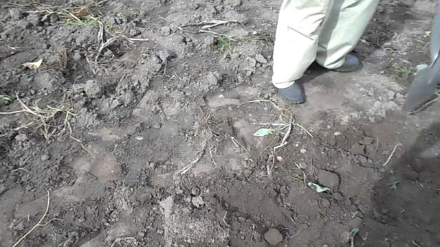 Как правильно РЫХЛИТЬ землю - прикол смотреть онлайн