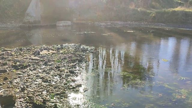 Рельеф дна русла реки, после 1 года тереформирования реки Биюк-Карасу 29 октября 2023 г. смотреть онлайн