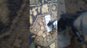 Город мухосранск первая серия