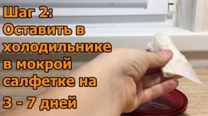 Как дома вырастить помело из косточки? Этап 1 – посадка. Пошаговая инструкция.