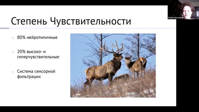 Эмоции: Путь к Осознанности. Вебинар 1 из 5. Введение. Что Такое Эмоции?