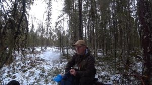 Столько глухарей я еще не видел, но без шанса на стрельбу.