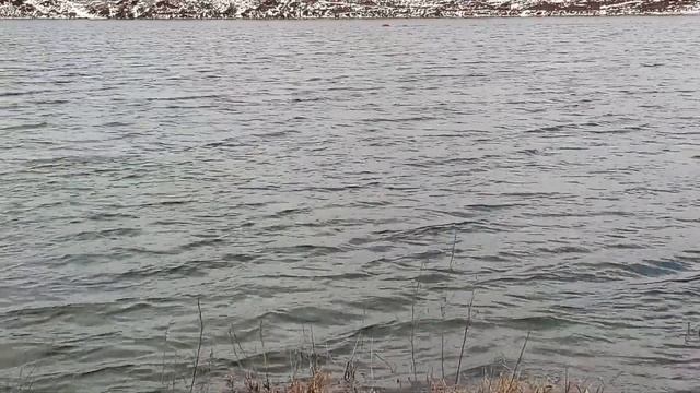 Прикормочный кораблик для рыбалки в Бийск, GPS автопилот 100 точек на водоем, держатели лески. смотреть онлайн