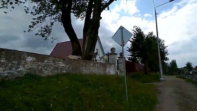 Горные козы обитают в Новоколхозном смотреть онлайн