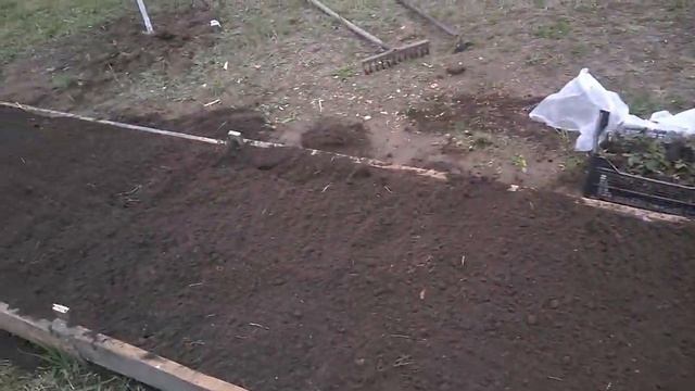 Первые посевы на даче/ Опора для винограда.