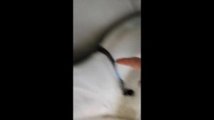 Ремонт проводки Мазда Бонго-Ванетт