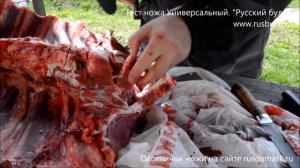 Оказывается, сталь 65Х13 для ножа очень неплоха Тест ножа Универсальный Компания Русский булат VLOG