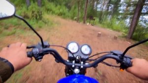 МОПЕД АЛЬФА(КОЛЬТ), ЗА ГРИБАМИ.