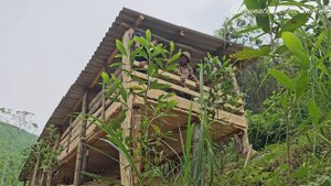 Finished building the wooden goat barn. The goats have a beautiful new house (EP101)