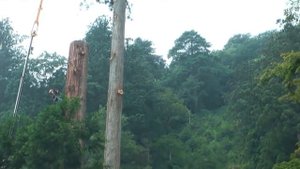 10 Самых Тяжелых Профессий в Мире