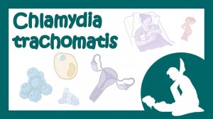 Chlamydia trachomatis (хламидия, хламидиоз) - причины, симптомы, лечение (микробиология лекция)