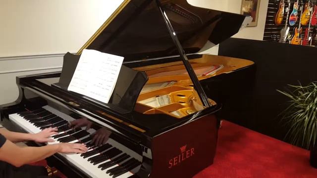 Seiler 278 Concert Grand Demonstration at Lauzon Muisc смотреть онлайн