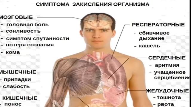 ЛУЧШИЕ ЩЕЛОЧНЫЕ ПРОДУКТЫ.ЧТО ТАКОЕ КИСЛОТНО - ЩЕЛОЧНОЙ БАЛАНС рН.