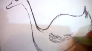 How to Draw a Swan