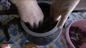 Готовим в Афганском казане