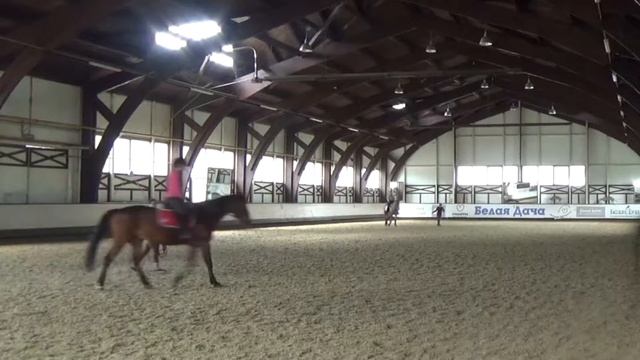 VLOG урок верховой езды в КСК Белая Дача/ я снова на коне! :))) смотреть онлайн