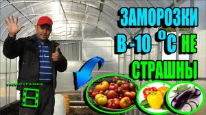 СПЕЦПОДГОТОВКА ТЕПЛИЦЫ - 5 СУПЕР ПРИЕМОВ, КАК УЙТИ ОТ ЗАМОРОЗКОВ. ЭКОСАД (ОГОРОД) И ТЕПЛИЦА 22-18
