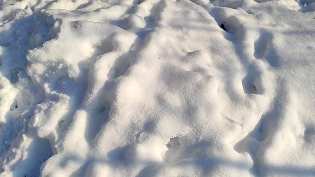 Народный праздник «Филиппов день». 22 января. Что делали в этот день.