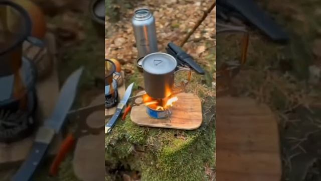 Тунец в походе необходим! смотреть онлайн