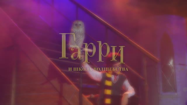 Иллюзионное шоу "Гарри и школа волшебства"