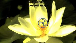 Частота 285 Гц  Исцеление поврежденных тканей и органов . Квантовое исцеление тела и энергосистемы