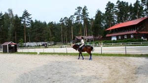 Уступка шенкелю.