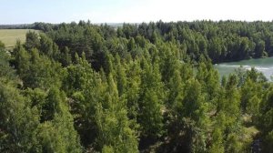 Нутриевая ферма в Богородицком районе Тульской области. Июль 2022.