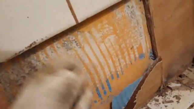 Протечка в душ.кабине из плитки.часть 2