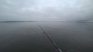 Рыбалка на Яузском водохранилище , открытие 2021.
