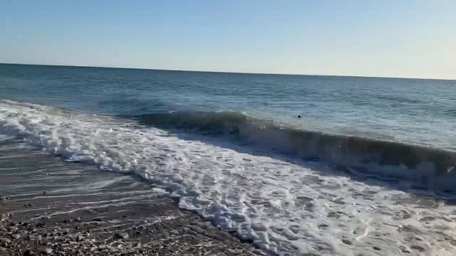 Художественный свист - Лазаревское 2018 смотреть онлайн